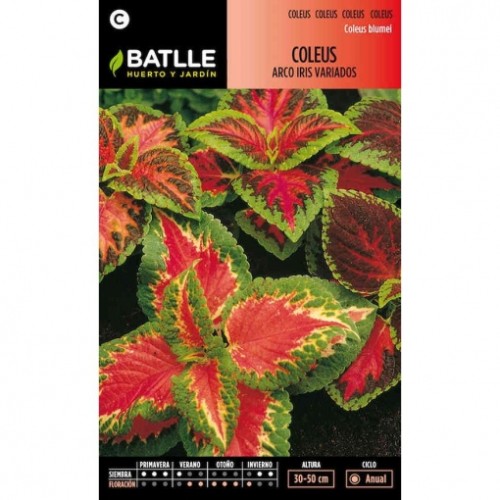 BATLLE SOBRES ESP. COLEUS VARIADOS C/10 BATLLE